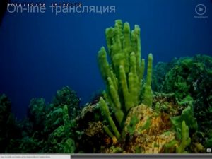 camera-in-Lake-Baikal-depth-5m